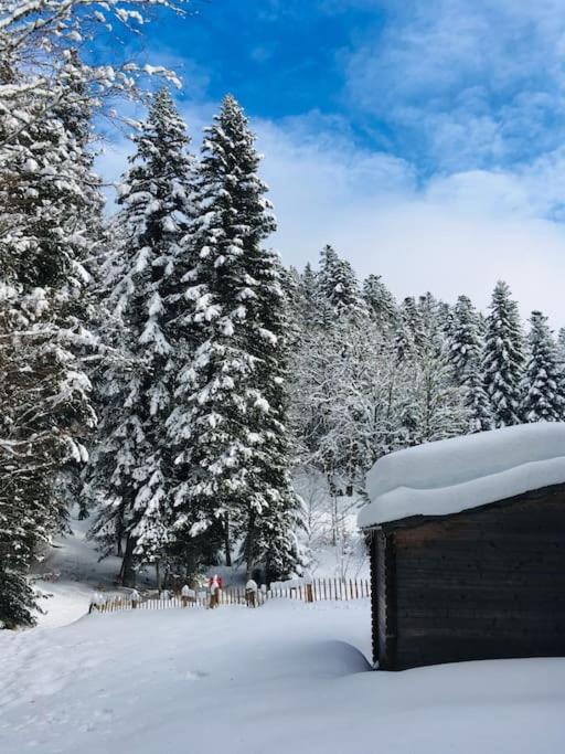 L'Etable Du Vercors Leilighet Saint-Agnan-en-Vercors Eksteriør bilde