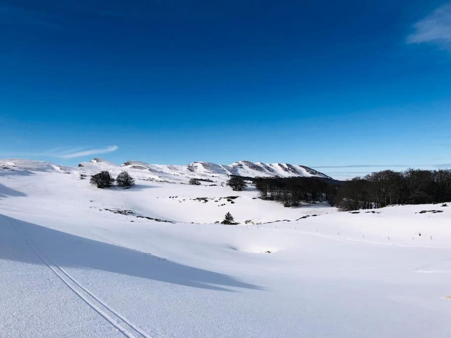 L'Etable Du Vercors Leilighet Saint-Agnan-en-Vercors Eksteriør bilde