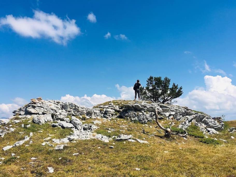 L'Etable Du Vercors Leilighet Saint-Agnan-en-Vercors Eksteriør bilde