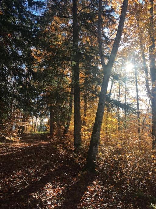 L'Etable Du Vercors Leilighet Saint-Agnan-en-Vercors Eksteriør bilde